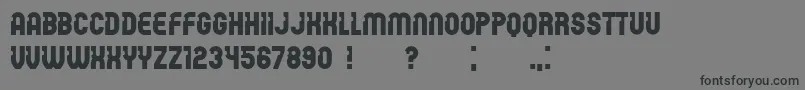 PasswordBook Font – Black Fonts on Gray Background