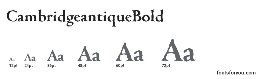 Размеры шрифта CambridgeantiqueBold