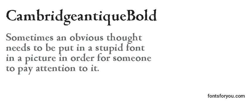 Review of the CambridgeantiqueBold Font