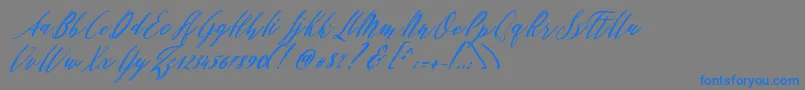 Patricia Script Font – Blue Fonts on Gray Background