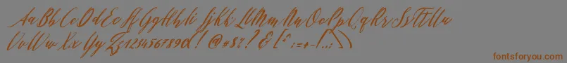 Czcionka Patricia Script – brązowe czcionki na szarym tle