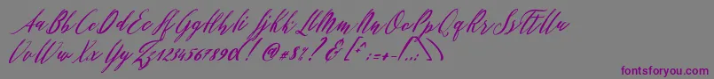 フォントPatricia Script – 紫色のフォント、灰色の背景