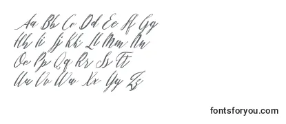 Review of the Patricia Script Font