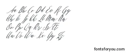 Überblick über die Schriftart Patricia Script