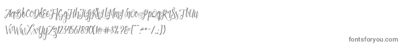 Patronia Script-Schriftart – Graue Schriften auf weißem Hintergrund