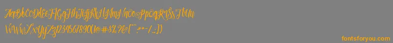 Patronia Script-Schriftart – Orangefarbene Schriften auf grauem Hintergrund