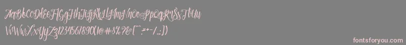 Patronia Script Font – Pink Fonts on Gray Background