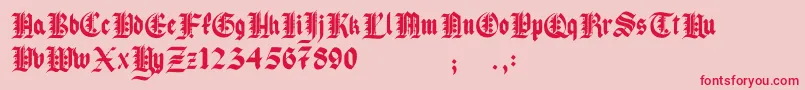 fuente Pau the 1st – Fuentes Rojas Sobre Fondo Rosa