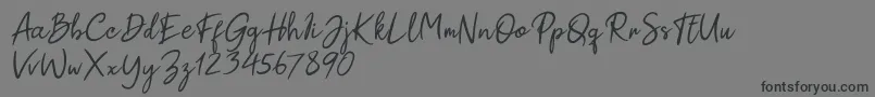 Paul Signature-Schriftart – Schwarze Schriften auf grauem Hintergrund