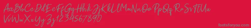 Paul Signature Font – Gray Fonts on Red Background