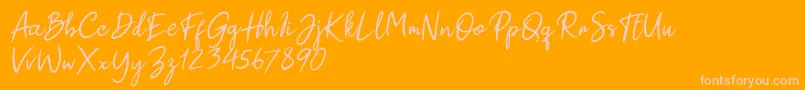 Paul Signature Font – Pink Fonts on Orange Background