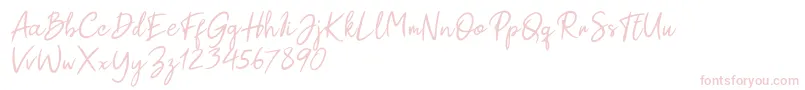 Paul Signature Font – Pink Fonts on White Background