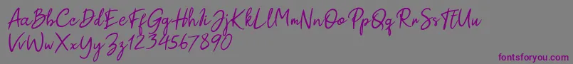 Paul Signature Font – Purple Fonts on Gray Background