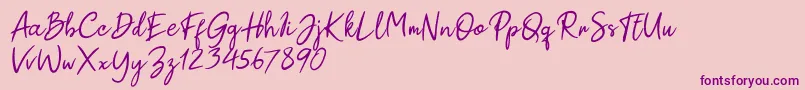 Paul Signature Font – Purple Fonts on Pink Background