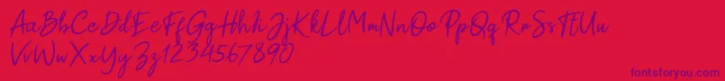 Paul Signature Font – Purple Fonts on Red Background