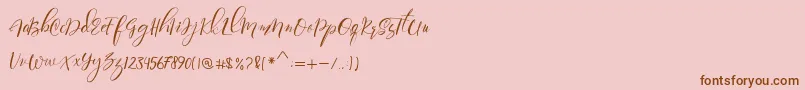 Paula Eva Font – Brown Fonts on Pink Background