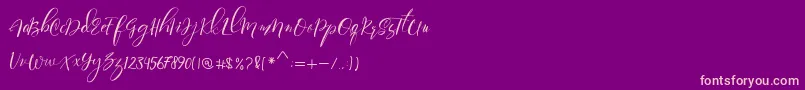 Paula Eva Font – Pink Fonts on Purple Background