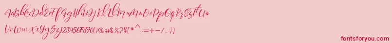 Paula Eva Font – Red Fonts on Pink Background