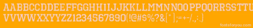 OctinvintagebrgBold Font – Pink Fonts on Orange Background