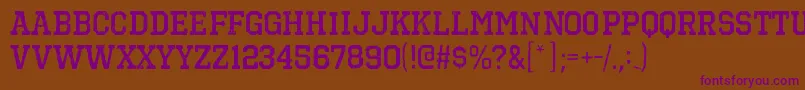 OctinvintagebrgBold Font – Purple Fonts on Brown Background