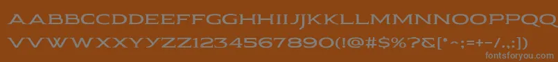 En savoir plus sur la police Pauraque Serif Rough Police Pauraque Serif Rough – polices grises sur fond brun