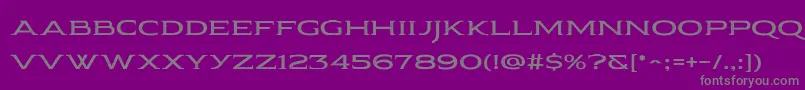 フォントPauraque Serif Rough – 紫の背景に灰色の文字