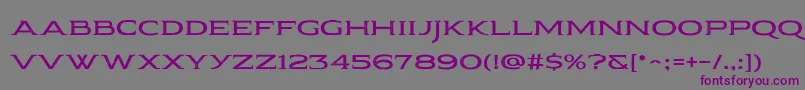 Police Pauraque Serif Rough – polices violettes sur fond gris