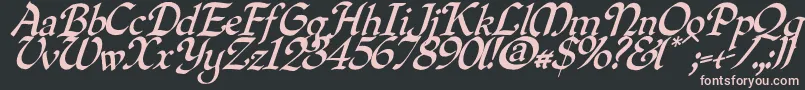 Quilloblique Font – Pink Fonts on Black Background