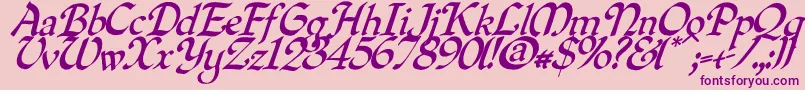 Quilloblique Font – Purple Fonts on Pink Background