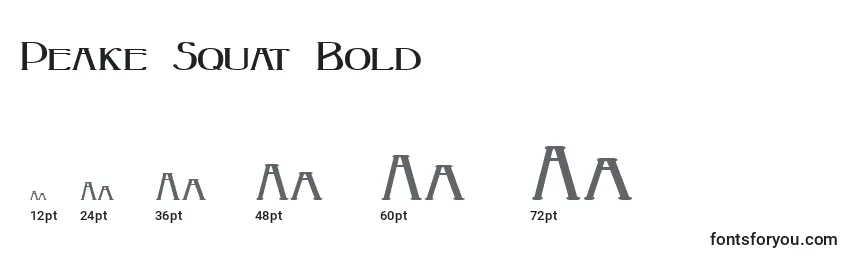 Peake Squat Bold Font Sizes