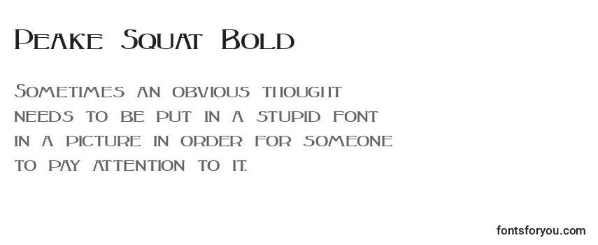 Überblick über die Schriftart Peake Squat Bold