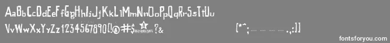 PEIXE    Font – White Fonts on Gray Background
