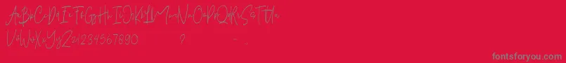 Pelakor  Demo  Font – Gray Fonts on Red Background