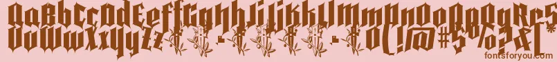 Шрифт Pena Caldaria demo ffp – коричневые шрифты на розовом фоне