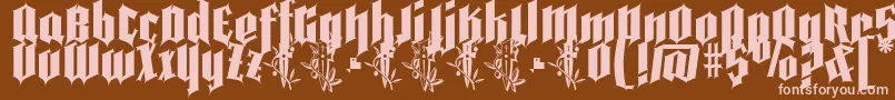 Pena Caldaria demo ffp Font – Pink Fonts on Brown Background