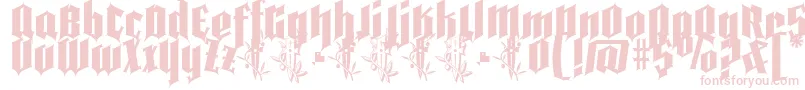 Шрифт Pena Caldaria demo ffp – розовые шрифты на белом фоне