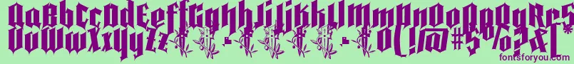 Pena Caldaria demo ffp Font – Purple Fonts on Green Background