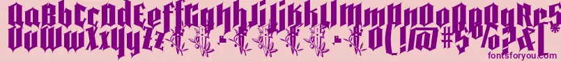 Pena Caldaria demo ffp Font – Purple Fonts on Pink Background