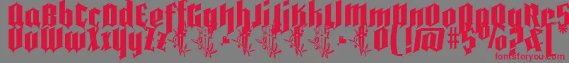 Pena Caldaria demo ffp-Schriftart – Rote Schriften auf grauem Hintergrund