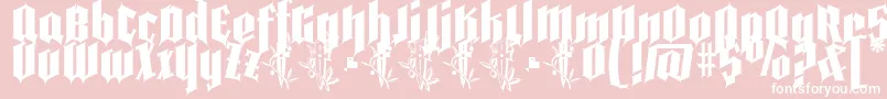Pena Caldaria demo ffp Font – White Fonts on Pink Background