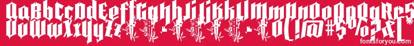 Pena Caldaria demo ffp Font – White Fonts on Red Background