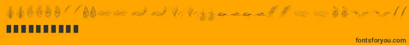 Penmanship Feather Font – Black Fonts on Orange Background