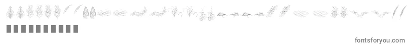 Penmanship Feather Font – Gray Fonts on White Background