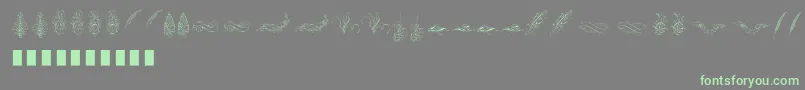 Penmanship Feather Font – Green Fonts on Gray Background