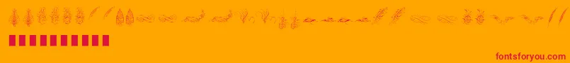 Penmanship Feather Font – Red Fonts on Orange Background