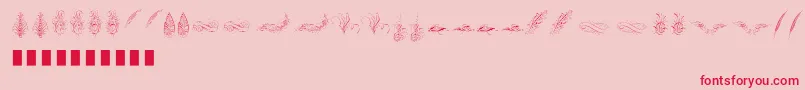 Penmanship Feather Font – Red Fonts on Pink Background