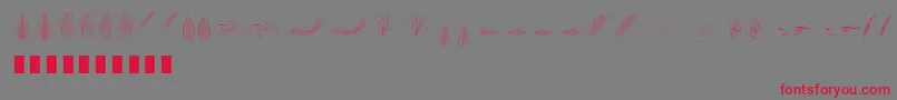 Шрифт Penmanship Feather – красные шрифты на сером фоне
