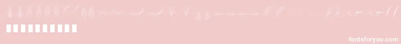 Penmanship Feather Font – White Fonts on Pink Background