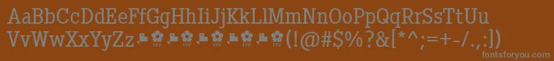 Czcionka Pentay Book ffp – szare czcionki na brązowym tle