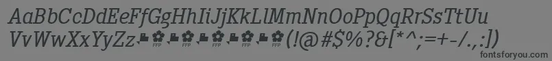 Шрифт Pentay Book Italic ffp – чёрные шрифты на сером фоне